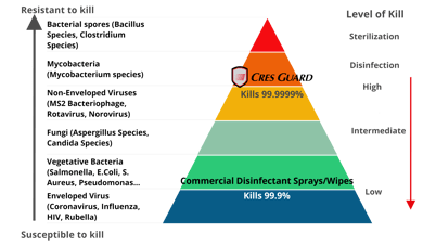 hierarchy (1)-2